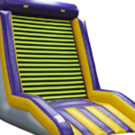 SPIDER-CATCH-ATTRAP-MOUCHE-05-removebg-preview